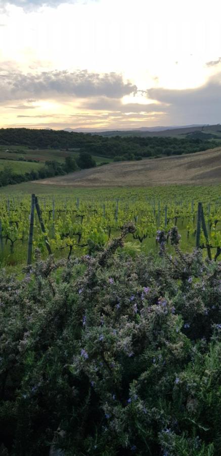 Agriturismo Bagnaia San Quirico d'Orcia Luaran gambar