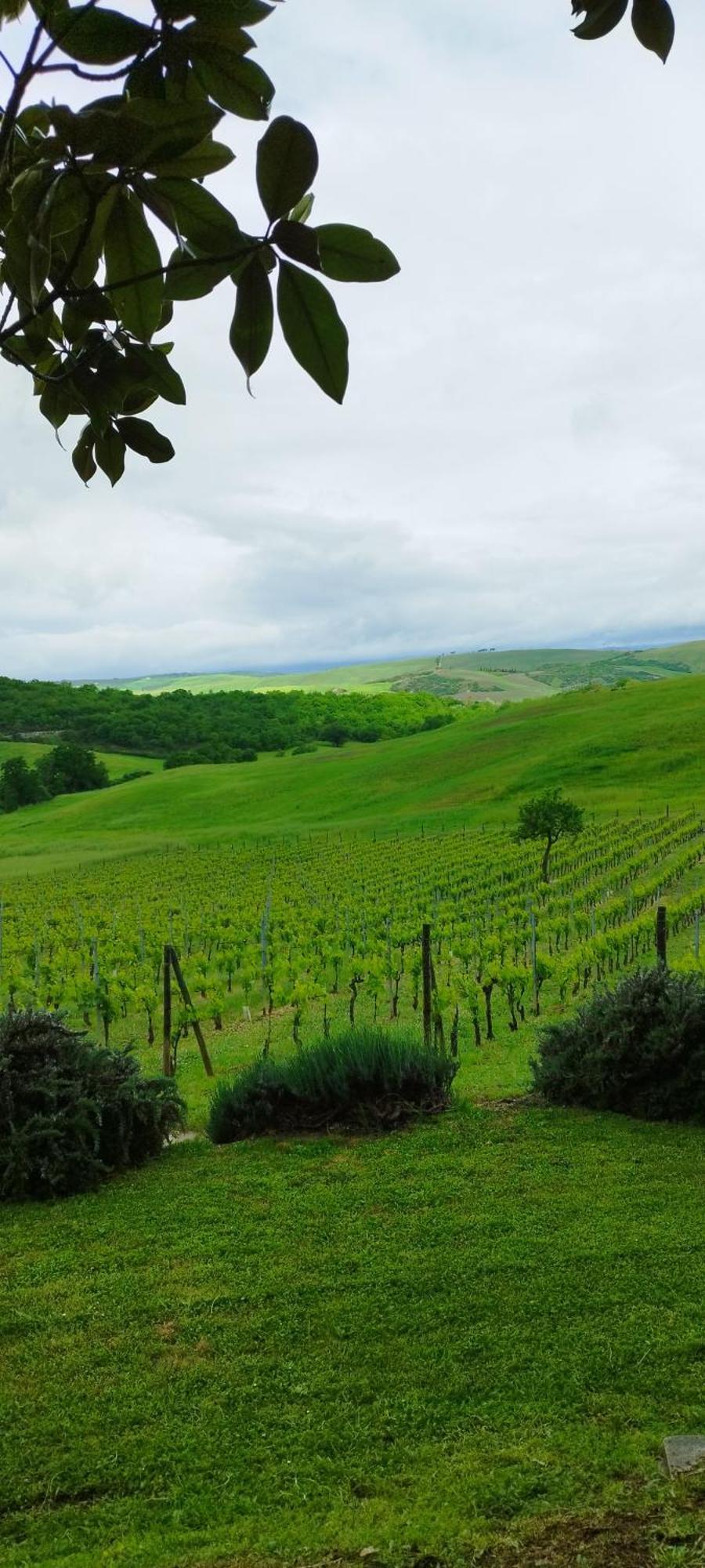 Agriturismo Bagnaia San Quirico d'Orcia Luaran gambar