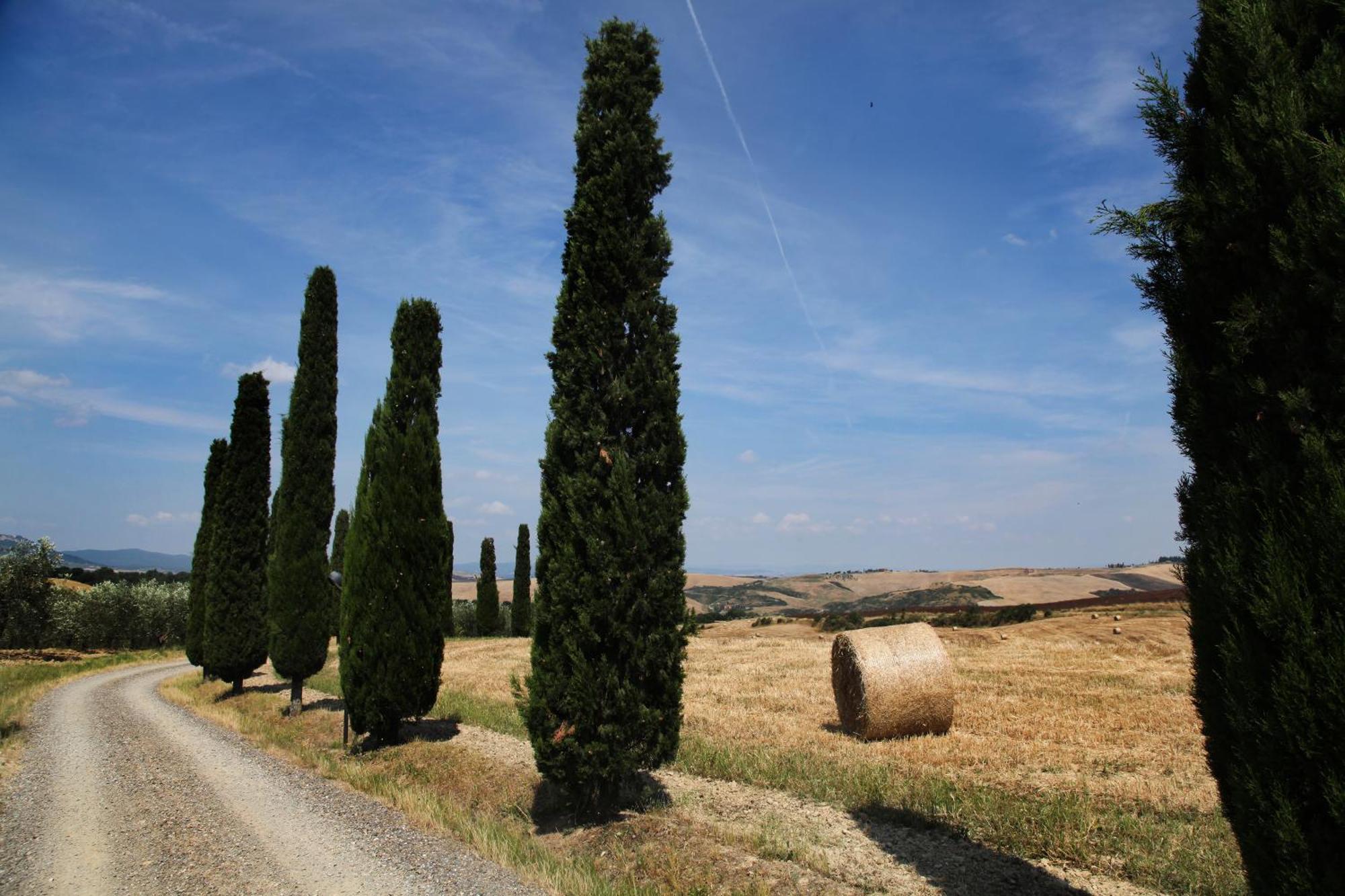 Agriturismo Bagnaia San Quirico d'Orcia Luaran gambar