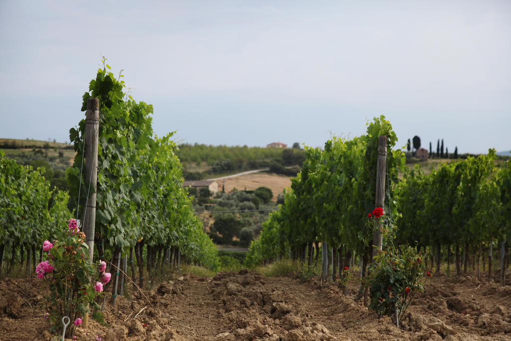 Agriturismo Bagnaia San Quirico d'Orcia Luaran gambar