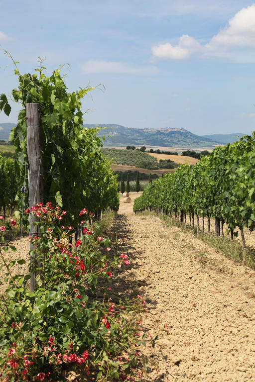 Agriturismo Bagnaia San Quirico d'Orcia Luaran gambar