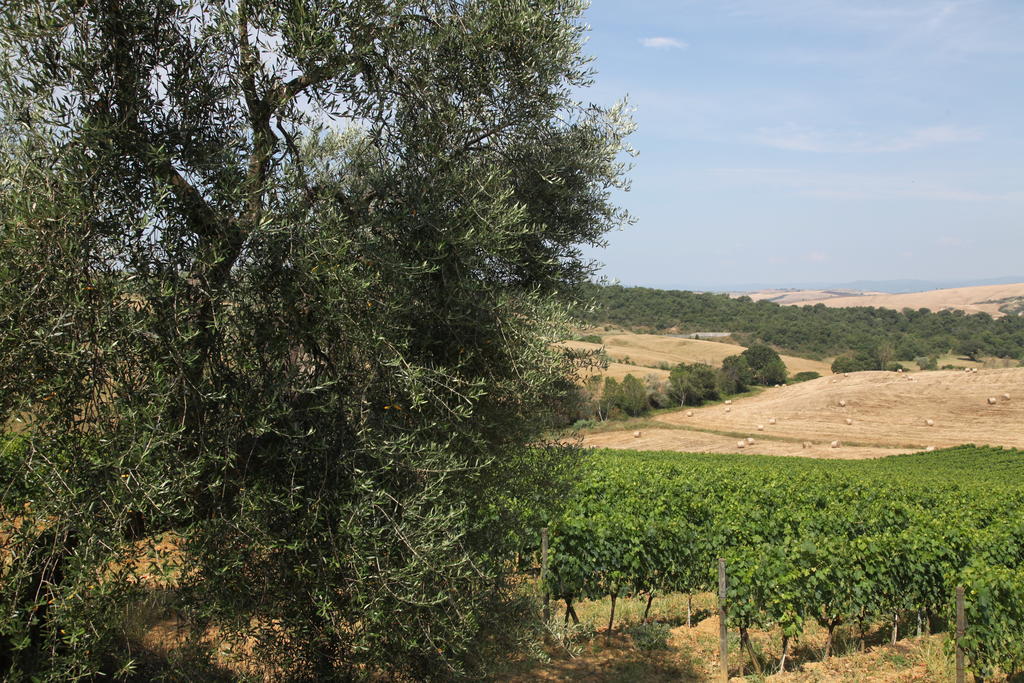 Agriturismo Bagnaia San Quirico d'Orcia Luaran gambar