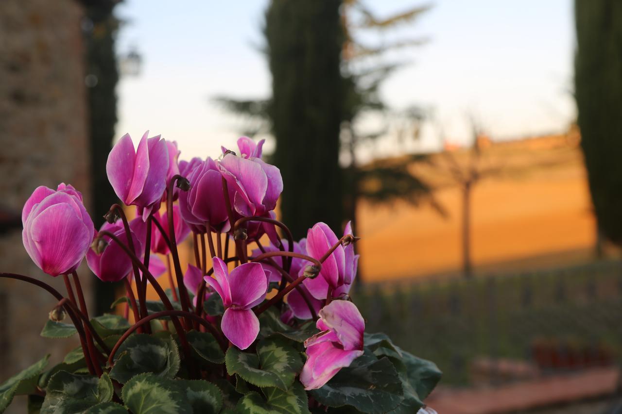 Agriturismo Bagnaia San Quirico d'Orcia Luaran gambar