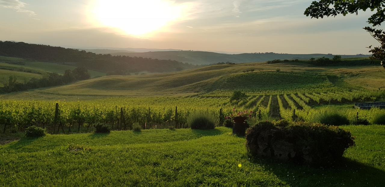 Agriturismo Bagnaia San Quirico d'Orcia Luaran gambar